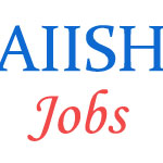 Regular Jobs in AIISH