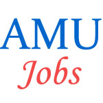 Teaching and Non-Teaching Jobs in AMU