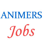 Teaching Jobs in ANIMERS