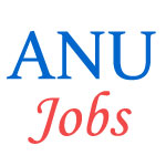 Assistant Professor Jobs in ANU