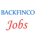 Punjab BACKFINCO Jobs