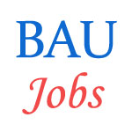 Various Jobs in Bihar Agricultural University (BAU)