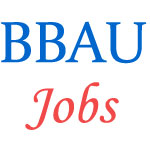 Teaching and Non-Teaching Jobs in BBAU