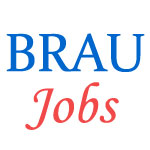 Teaching Jobs in Dr. B. R. Ambedkar University