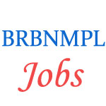 Assistant Manager Jobs in BRBNMPL