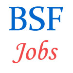 Constable (Tradesmen) (Male) Jobs in BSF