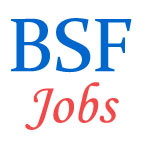 Aircraft Mechanic Jobs in BSF