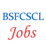 Assistant Manager and Assistant Accountant Jobs in BSFCSCL