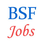 Various Jobs in Directorate General Border Security Force (BSF)