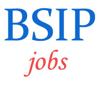 Clerk and MTS Jobs in Birbal Sahni Institute