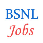 07 posts of Management Trainee in Bharat Sanchar Nigam Limited (BSNL)