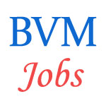 Various jobs in Govt. of Bihar / Bihar  Vikas Mission (BVM)