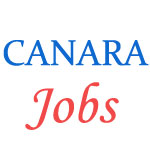 Specialist Officer Jobs in Canara Bank 