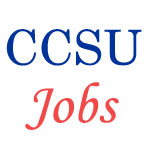 Non-Teaching Jobs in CCS University