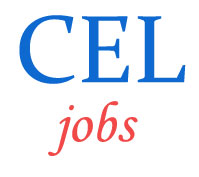 Managers Jobs in Central Electronics Limited