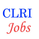 Scientist Jobs in CLRI