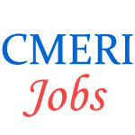 Scientist Jobs in CSIR CMERI