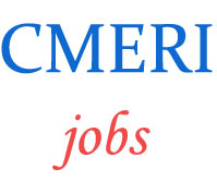 Scientists Jobs in CSIR CMERI