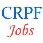 225 posts of Assistant-Sub-Inspector (ASI) - Steno in Central Reserve Police Force (CRPF)