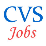 Non-Teaching Jobs in College of Vocational Studies Delhi