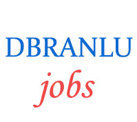 Teaching Jobs in DBRANLU