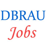 Teaching Jobs in Dr. Bhimrao Ambedkar University Agra