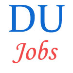 DU Non Teaching posts - December 2014 