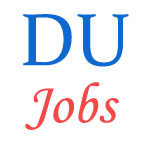 Assistant Professor Jobs in Delhi University DU