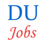 Professor and Associate Professor Jobs in Delhi University