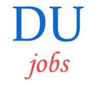 Assistant Professor Jobs in Delhi University