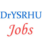 Assistant Professors Jobs in Dr. YSR Horticultural University