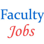 Various Librarian Jobs in University of Madras