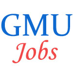 Teaching Jobs in Gangadhar Meher University