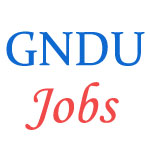 02 posts of Assistant System Analyst in GURU NANAK DEV UNIVERSITY (GNDU)