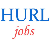 Experienced Professionals Jobs in HURL