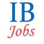 Specialist Officers Jobs in Indian Bank