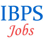 Specialist Officers Jobs in IBPS