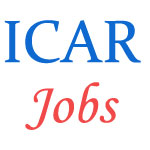 Research Management Jobs in ICAR