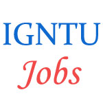 Faculty posts in IGNTU Amarkantak Dec-2014