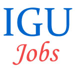 Teaching Jobs in Indira Gandhi University (IGU)