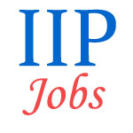 Scientist Jobs in Indian Institute of Petroleum (IIP)