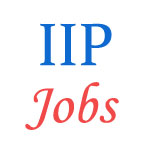 Various jobs in Indian Institute of Packaging (IIP)