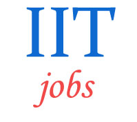 Non-Teaching Officer Jobs in IIT