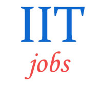 Executive Assistant Jobs in IIT Delhi