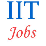 Administrative Jobs in IIT