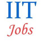 Teaching Jobs in IIT