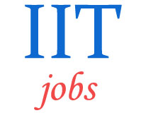 Teaching Jobs in IIT