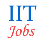 Teaching Jobs in IIT