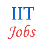 Various jobs in Indian Institute of Technology (IIT)