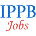 Specialist Officers Jobs in IPPB